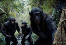 فیلم سیاره میمون‌ها توانست فروش فوق‌العاده‌ای کسب کند