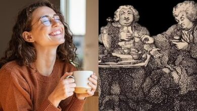 چای ناجی جان انسان است! چگونه نوشیدن چای مرگ و میر انسان را کاهش داد؟